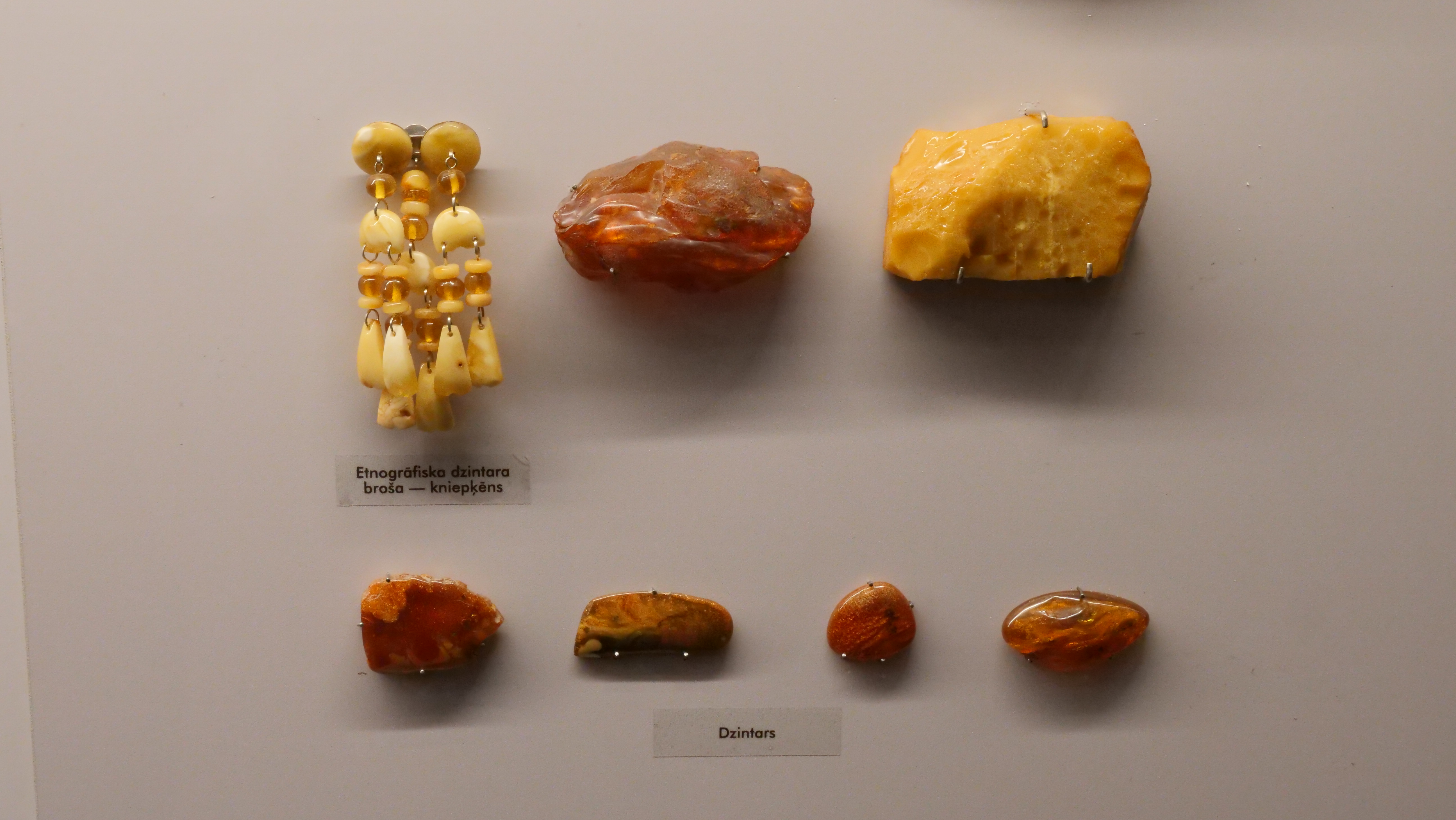 Dzintara eksponāti, kas apskatāmi mineraloģijas ekspozīcijā Latvijas Dabas muzejā