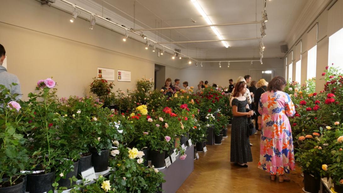 Выставка «Сад роз 2022»