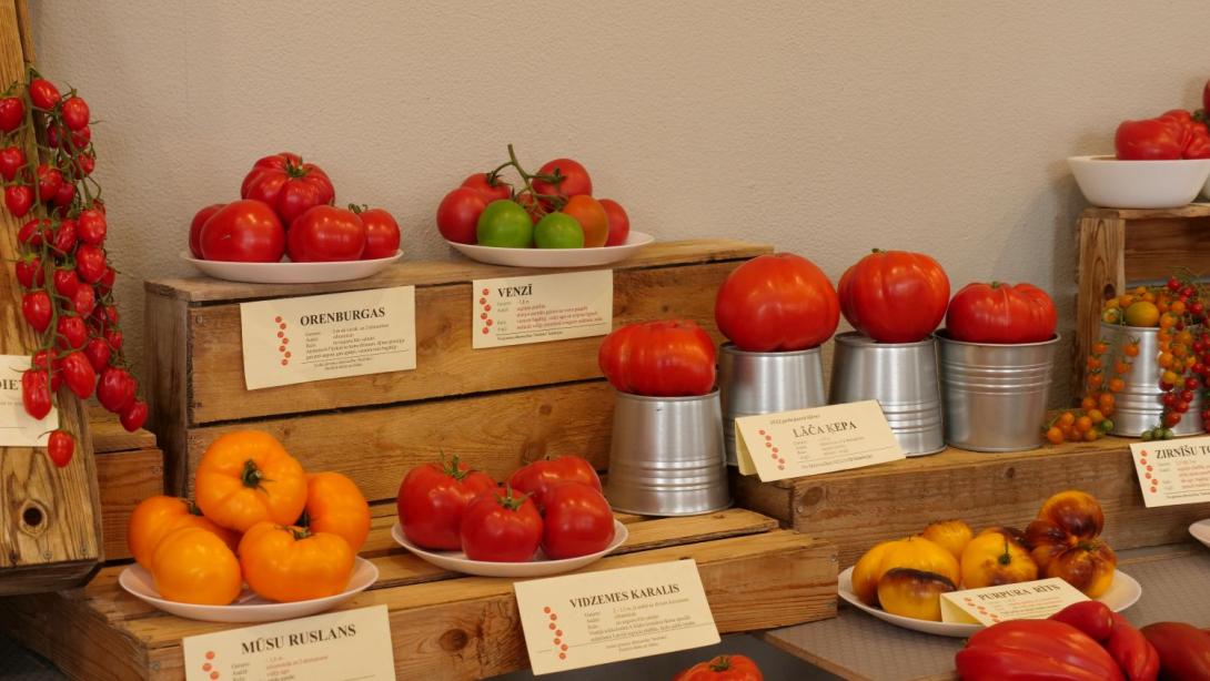 Выставка «Парад томатов 2022»