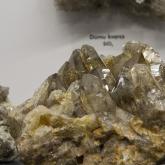 Ekspozīcija „Mineraloģija”   
