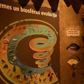 Экспозиция «Эволюция Земли и биосферы»