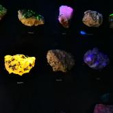 Exhibition "Mineralogy". Luminescence.