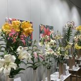 Exhibition "Lilies 2021"