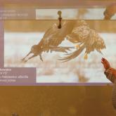 Fotokonkursa „Mans putns 2023” laureātu apbalvošana un izstādes atklāšana