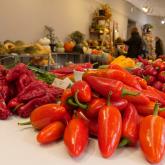 Exhibition "Pumpkins and peppers 2023"