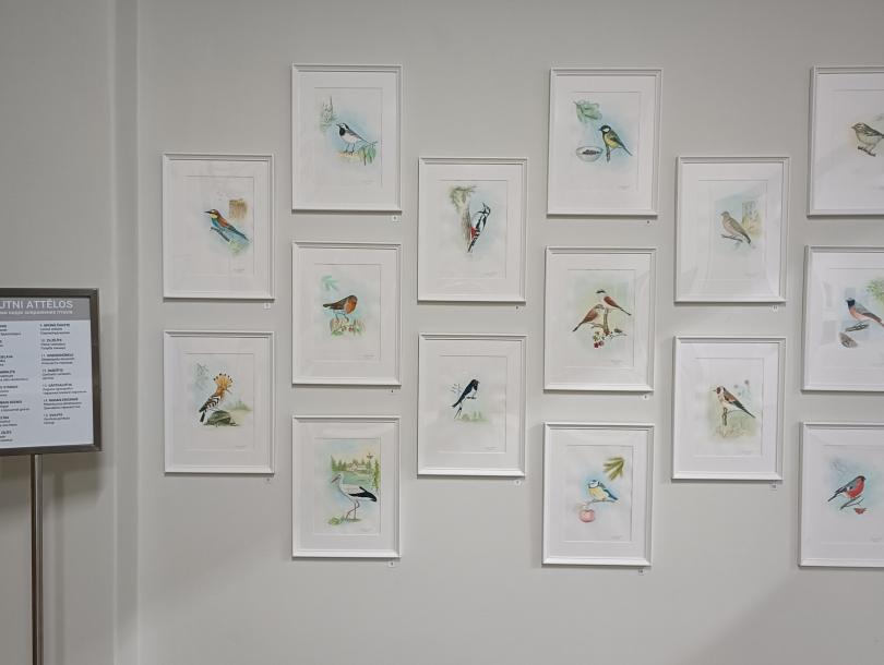 Izstāde „Putni pie mājām”. Ukrainas ornitologa Mikolas Vasilenko akvareļi