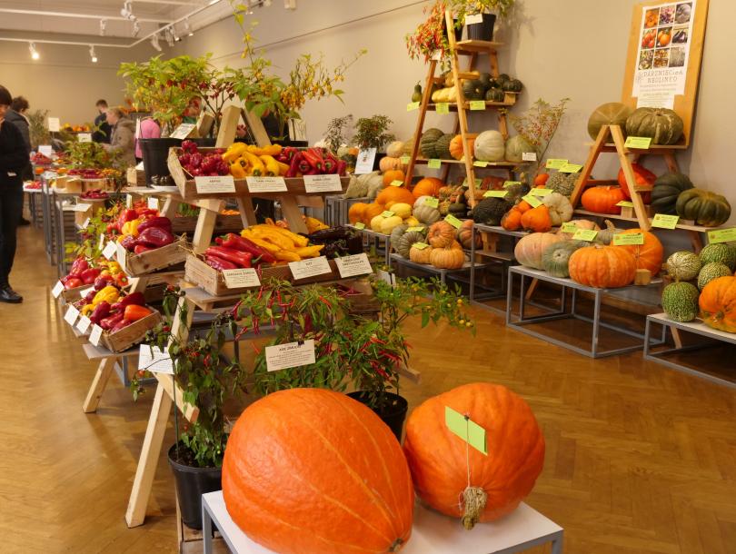Exhibition "Pumpkins and peppers 2023"