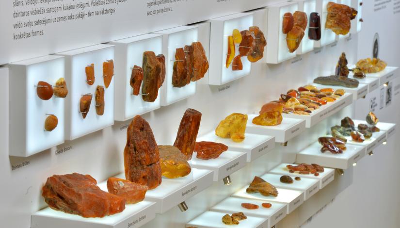 The exhibition “Amber Through the Ages”