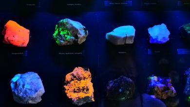 Ekspozīcijas „Mineraloģija" sadaļa „Luminiscence"